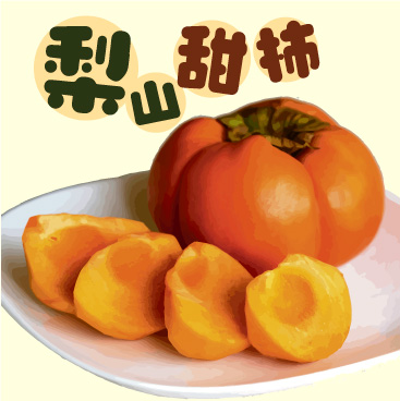 台中梨山-果肉細膩香甜清脆 高海拔早秋次郎富有甜柿