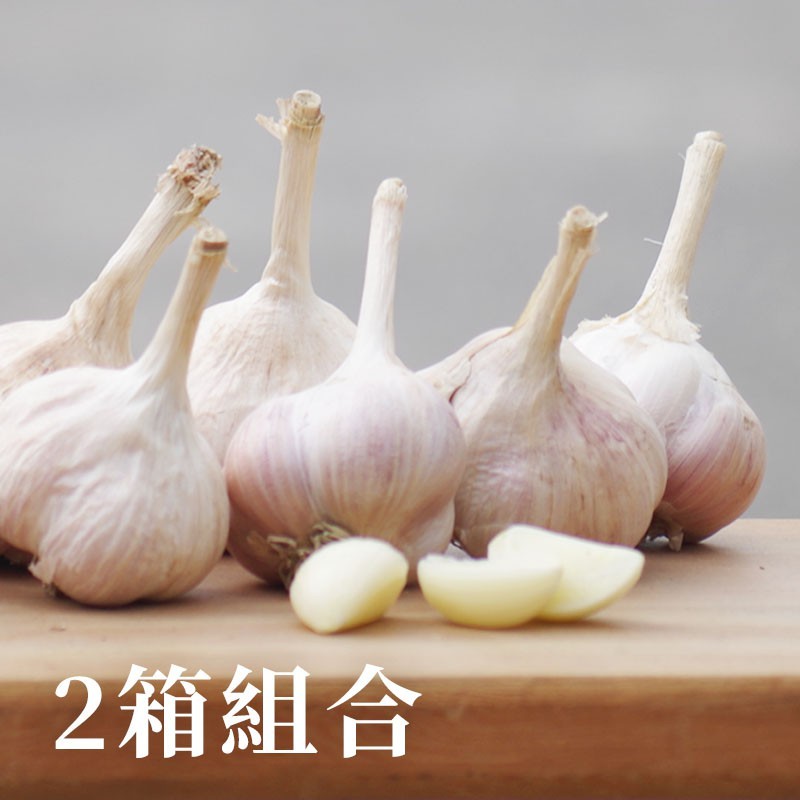 雲林元長安心蒜 符合產銷履歷的蒜頭種植 產地產季直送中 5台斤箱 