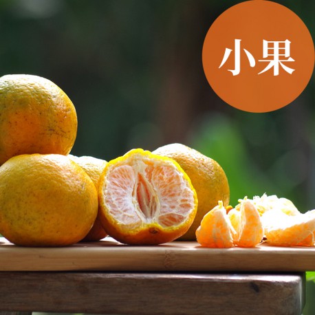 恬橘椪柑：40年的老欉椪柑(小果10台斤裝)