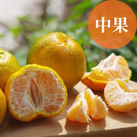 恬橘椪柑：40年的老欉椪柑(中果10台斤裝)