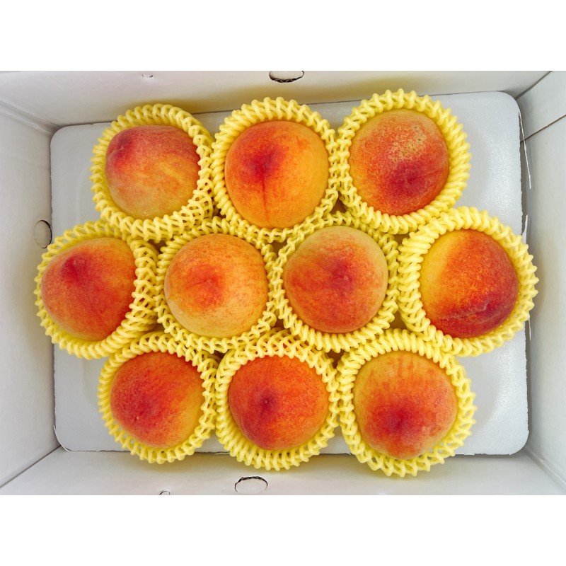 台中摩天嶺-紅金水蜜桃-10顆裝-產季尚未開始