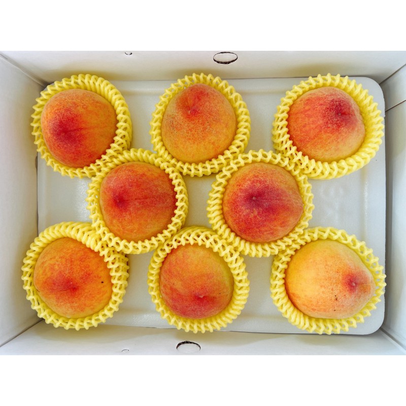 台中摩天嶺-紅金水蜜桃-8顆裝-產季尚未開始