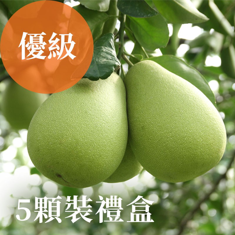 雲林斗六文旦(優級)：5顆裝禮盒