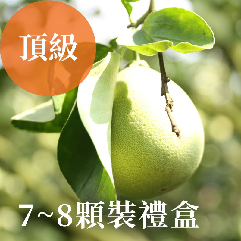 【雲林斗六】老欉文旦柚(頂級)-7~8顆裝禮盒-買5送1優惠組