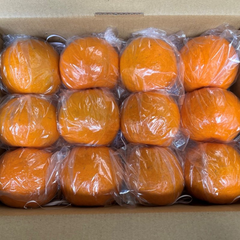 【台中石岡】套袋後熟椪柑-大果5斤禮盒裝