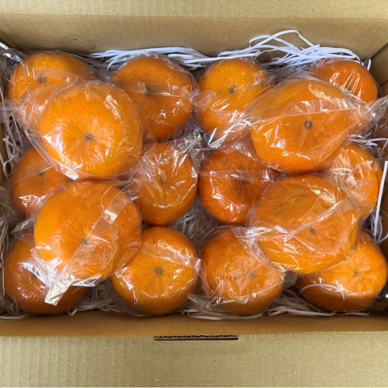 【台中石岡】套袋後熟椪柑-小果5斤禮盒裝