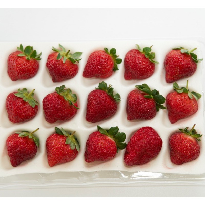 【台中外埔】香氣濃郁黑鑽草莓-大果15顆裝-2盒裝