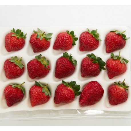 【台中外埔】香氣濃郁黑鑽草莓-大果15顆裝
