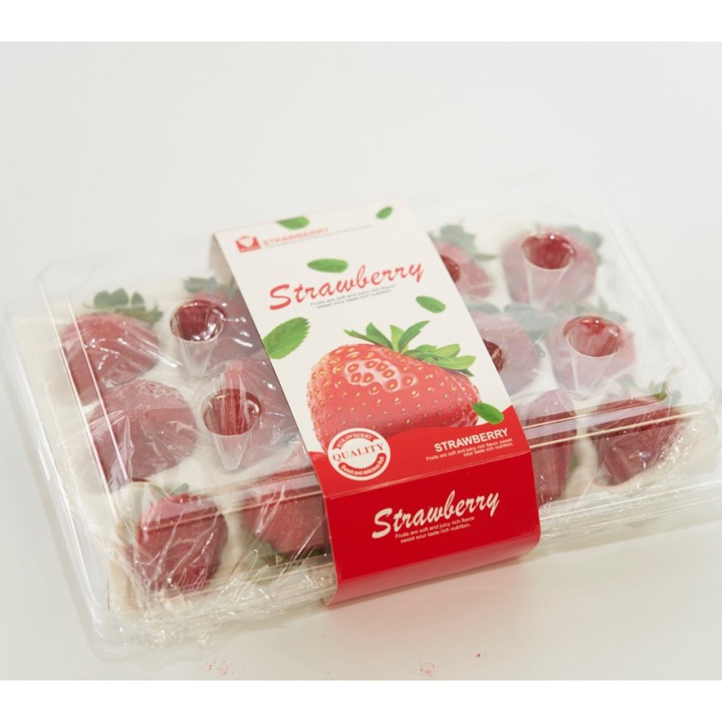 【台中外埔】香氣濃郁黑鑽草莓-大果15顆裝-4盒裝