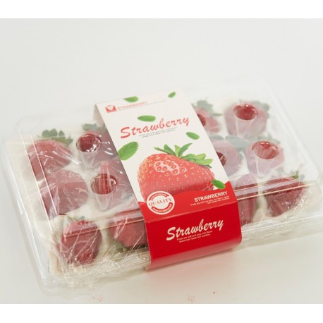【台中外埔】香氣濃郁黑鑽草莓-大果15顆裝