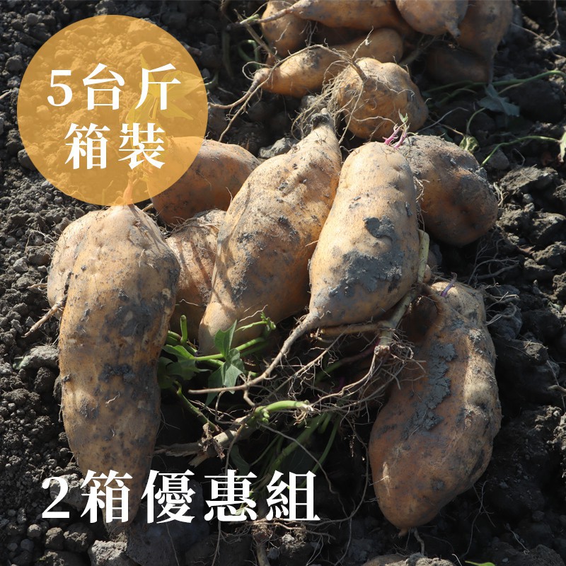 【好憨吉】台農57號-黃金地瓜-大箱10台斤