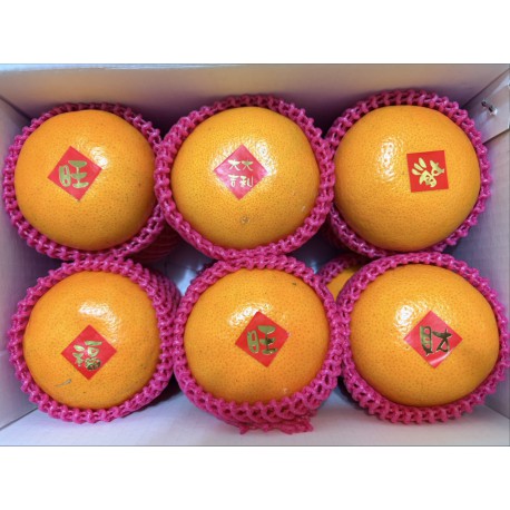 【苗栗卓蘭】多汁鮮甜茂谷柑-大果27A-(12顆禮盒裝)