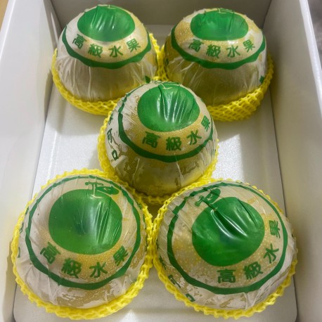 【苗栗卓蘭】清脆爽口新興梨-5顆裝禮盒