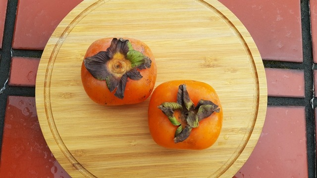 四周柿軟化後果色呈橘紅色又稱紅柿