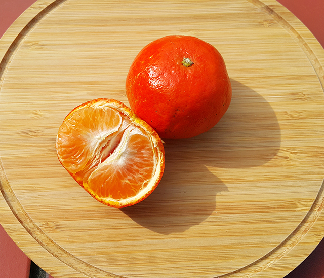佛利蒙柑果型小、呈扁球狀，果色為鮮艷的橘紅色