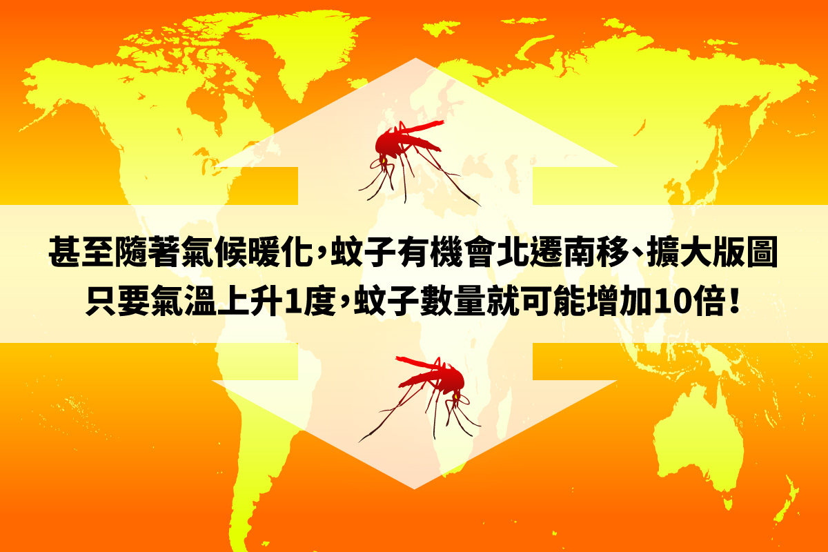 氣候暖化 蚊子有機會北遷南移 擴大版圖
