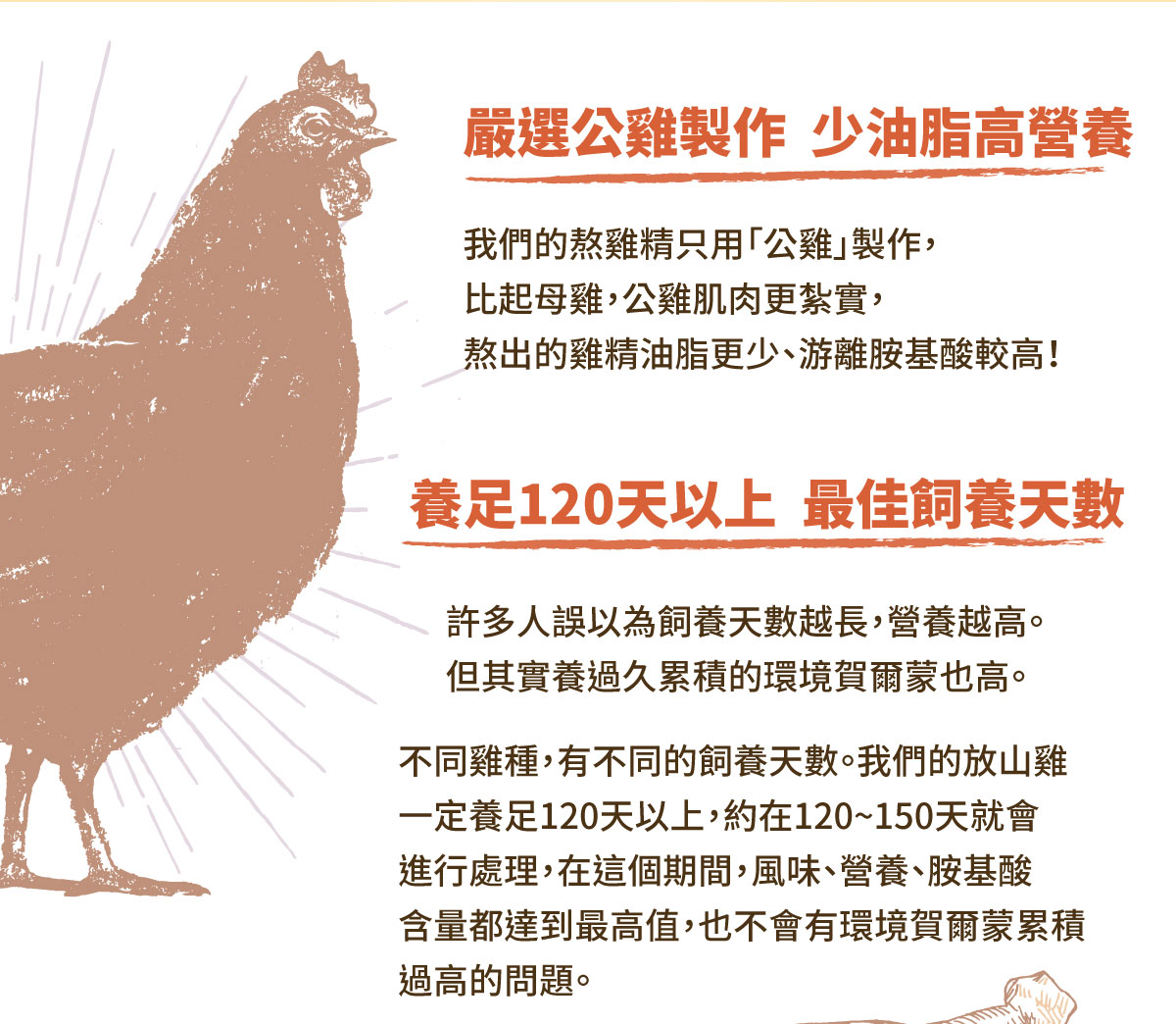 嚴選公雞製作 少油脂高營養 養足120天以上 最佳飼養天數