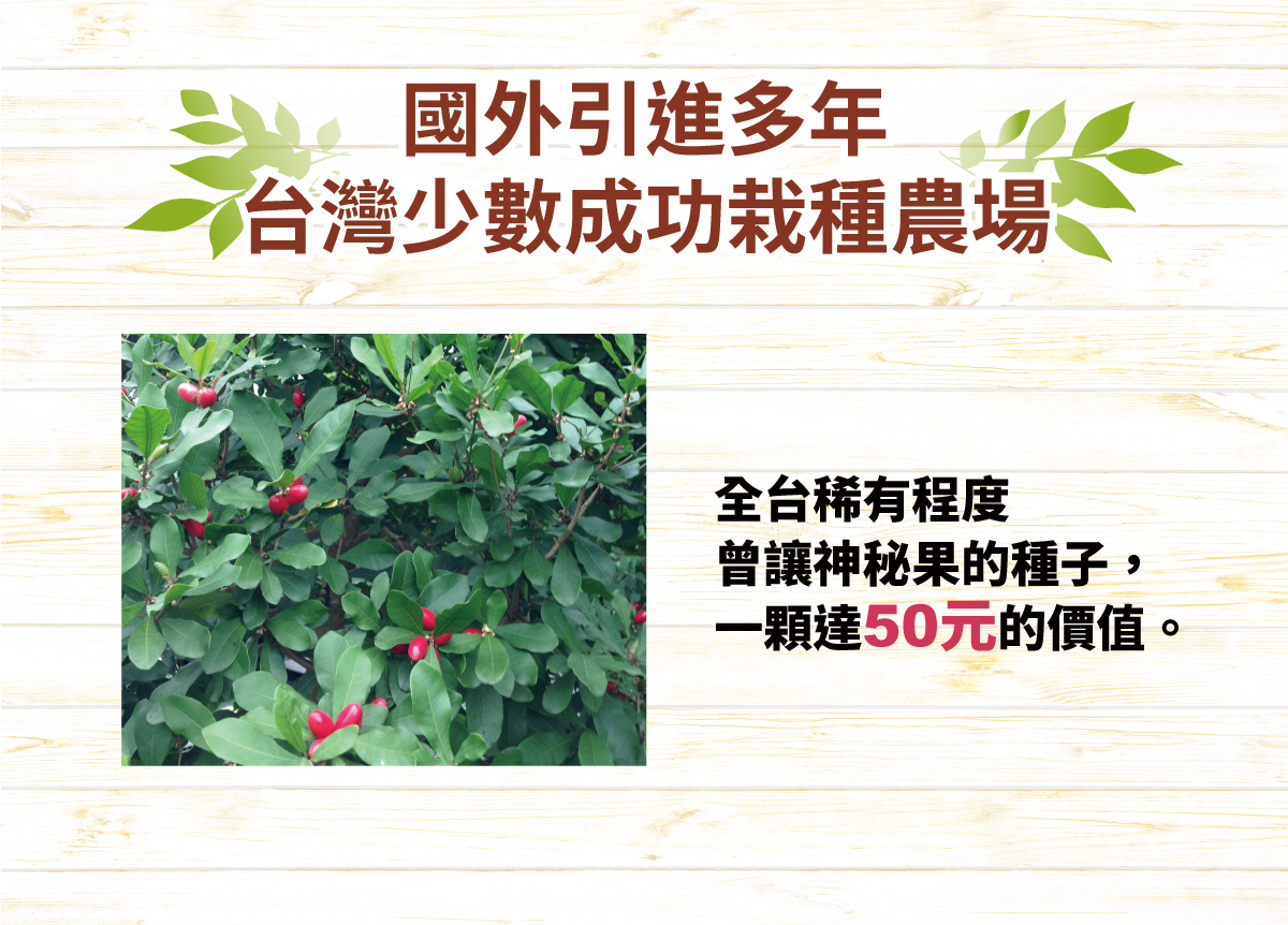 國外引進多年 台灣少數成功栽種農場