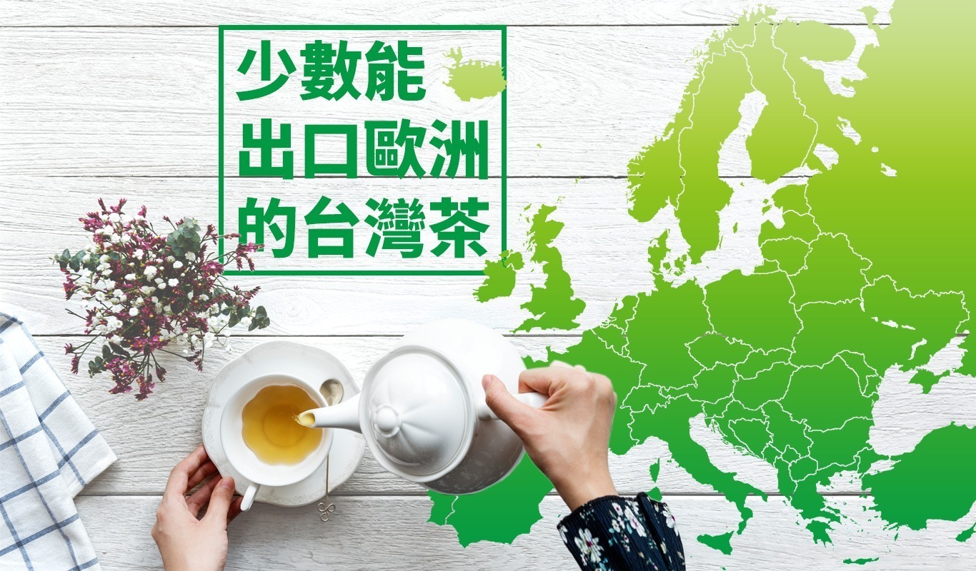 少數能出口歐洲的台灣茶