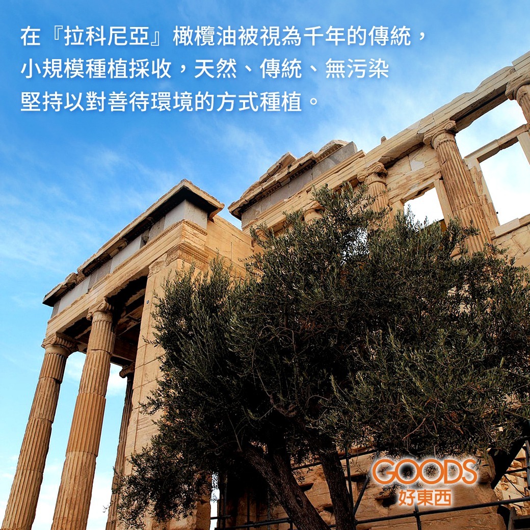 源自希臘神話中的雅典娜女神把橄欖樹送給雅典城邦(古希臘),因此橄欖又被視為希臘國寶,帶給希臘人無窮生機與活力,是天神賜予的生命之源(Olive)。