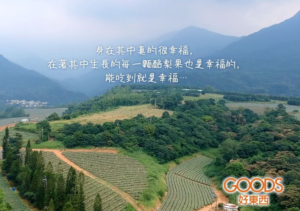 果樹被四季轉換推著走,而人又被酪梨果樹的變化推著走。