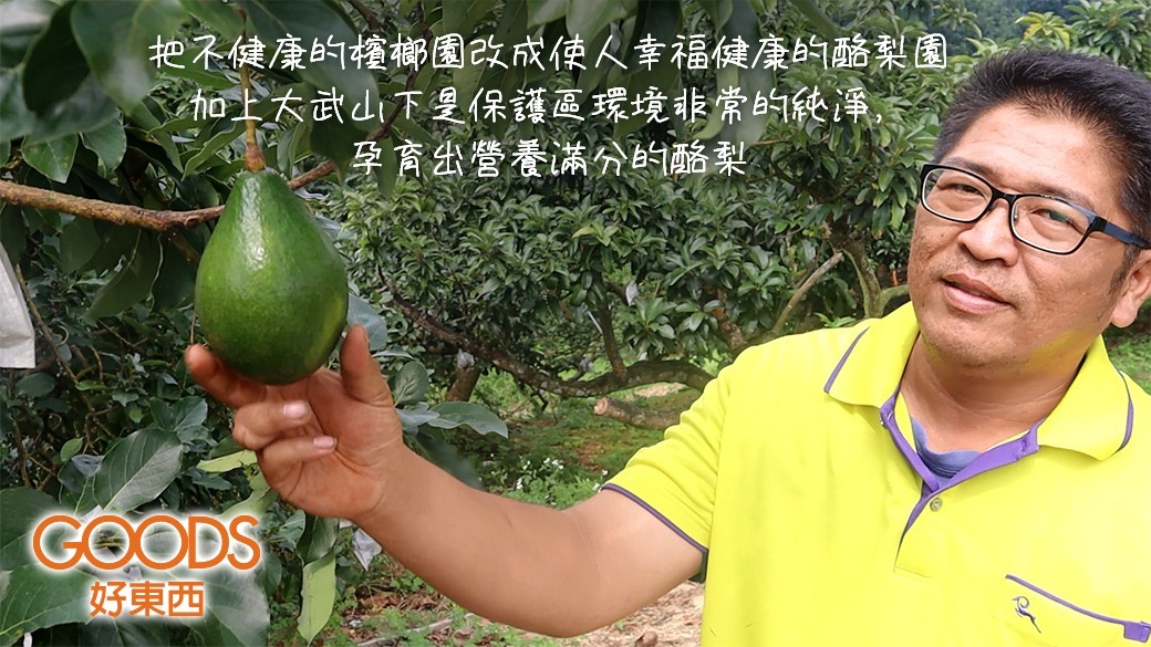 在著其中生長的每一顆酪梨果也是幸福的,能吃到就是幸福