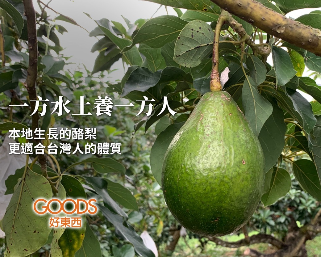 一方水土養一方人,本地生長的酪梨一定比進口的酪梨更適合台灣人的體質。