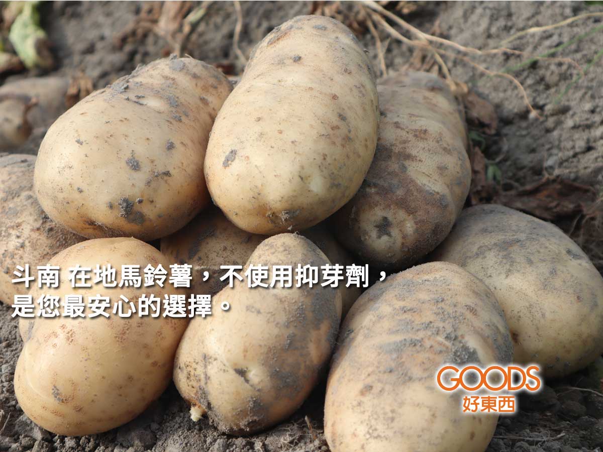 雲林是全台馬鈴薯產量第一 品質也是最佳的主要地域 尤其是斗南地區
