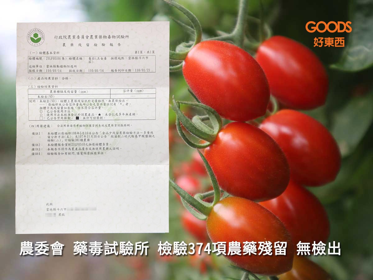 在地玉女小番茄 是農藥零檢出