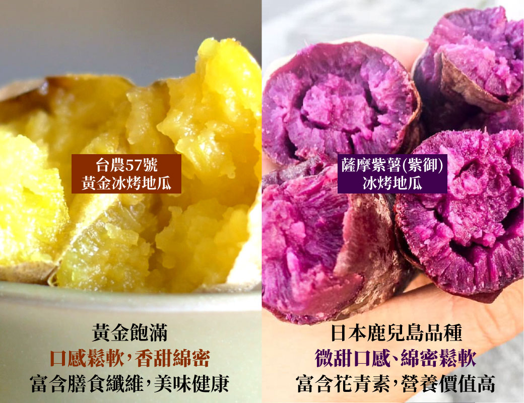 冰烤地瓜兩種口味 台農57號黃金冰烤地瓜、日系薩摩紫薯(紫御)冰烤地瓜 