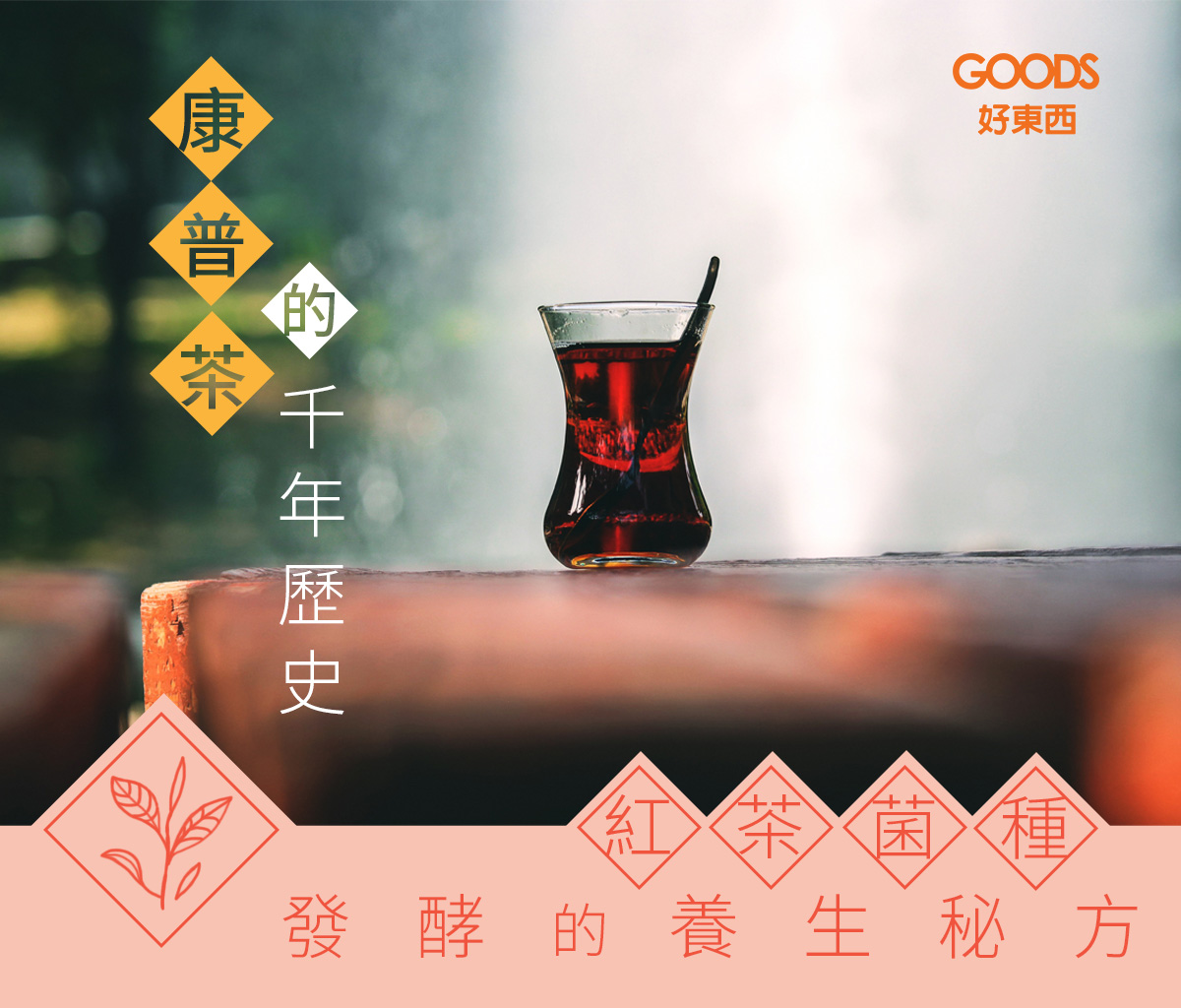 康普茶的千年歷史 紅茶菌發酵養生秘方