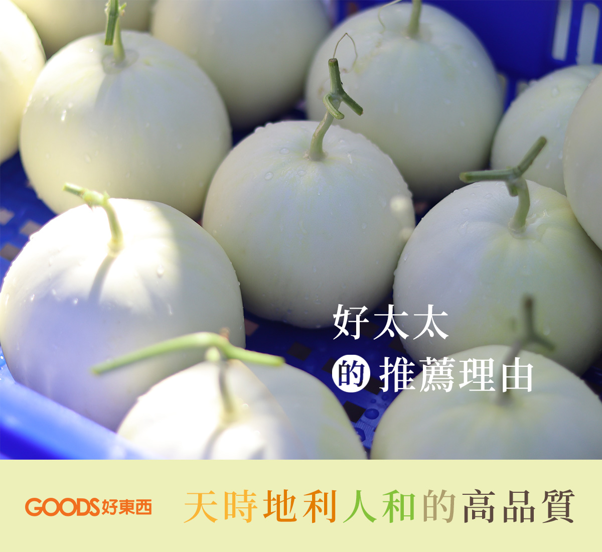好太太的推薦理由