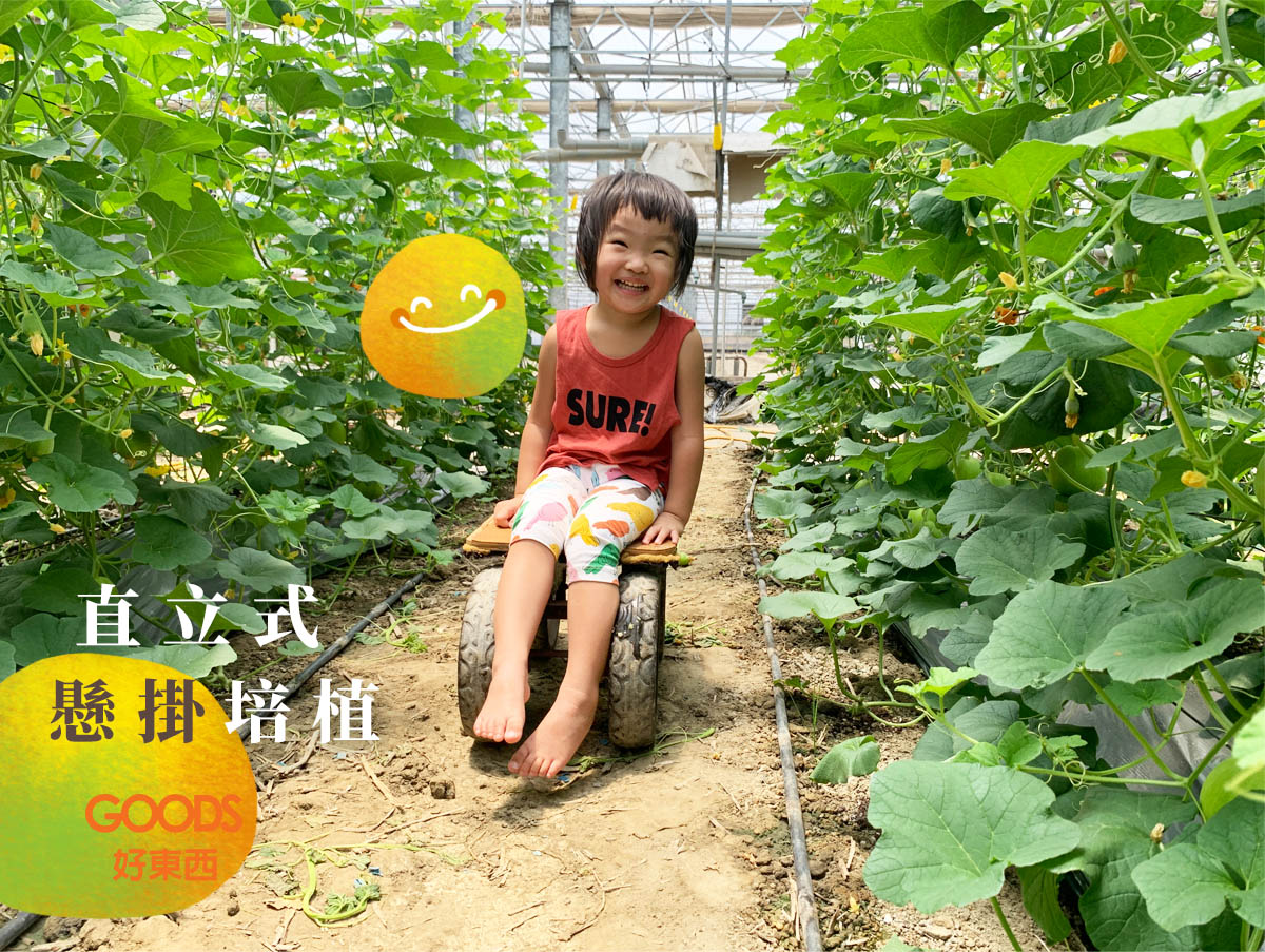 直立式懸掛培植