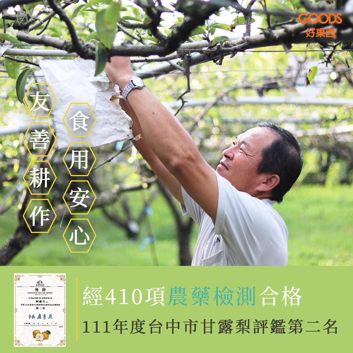 友善耕作：每年自主送檢，410項0檢出，111年度台中市甘露梨評鑑第二名