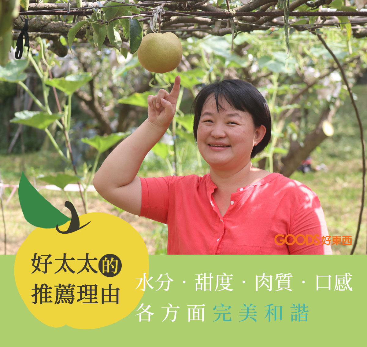 好太太的推薦理由