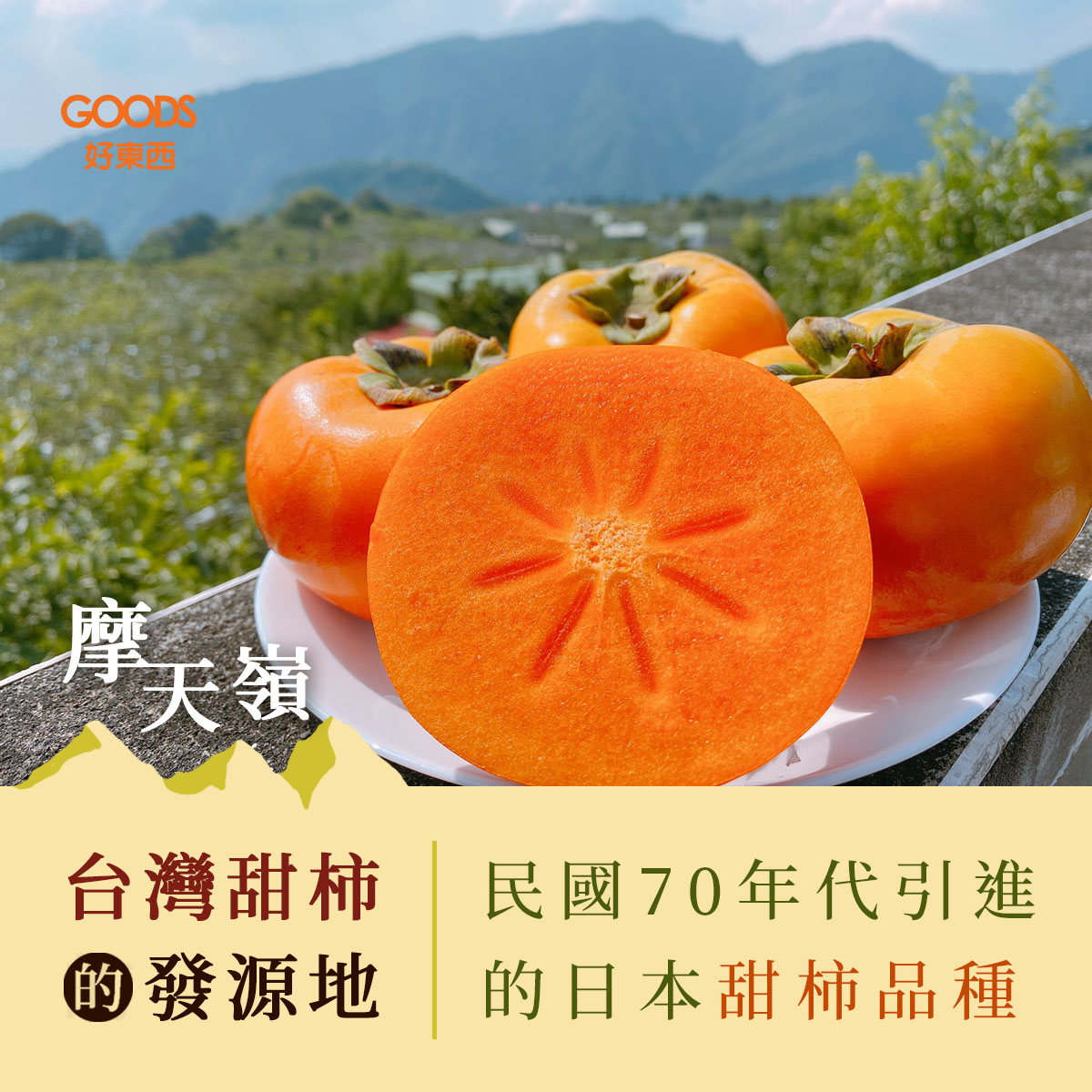 摩天嶺 台灣甜柿的發源地