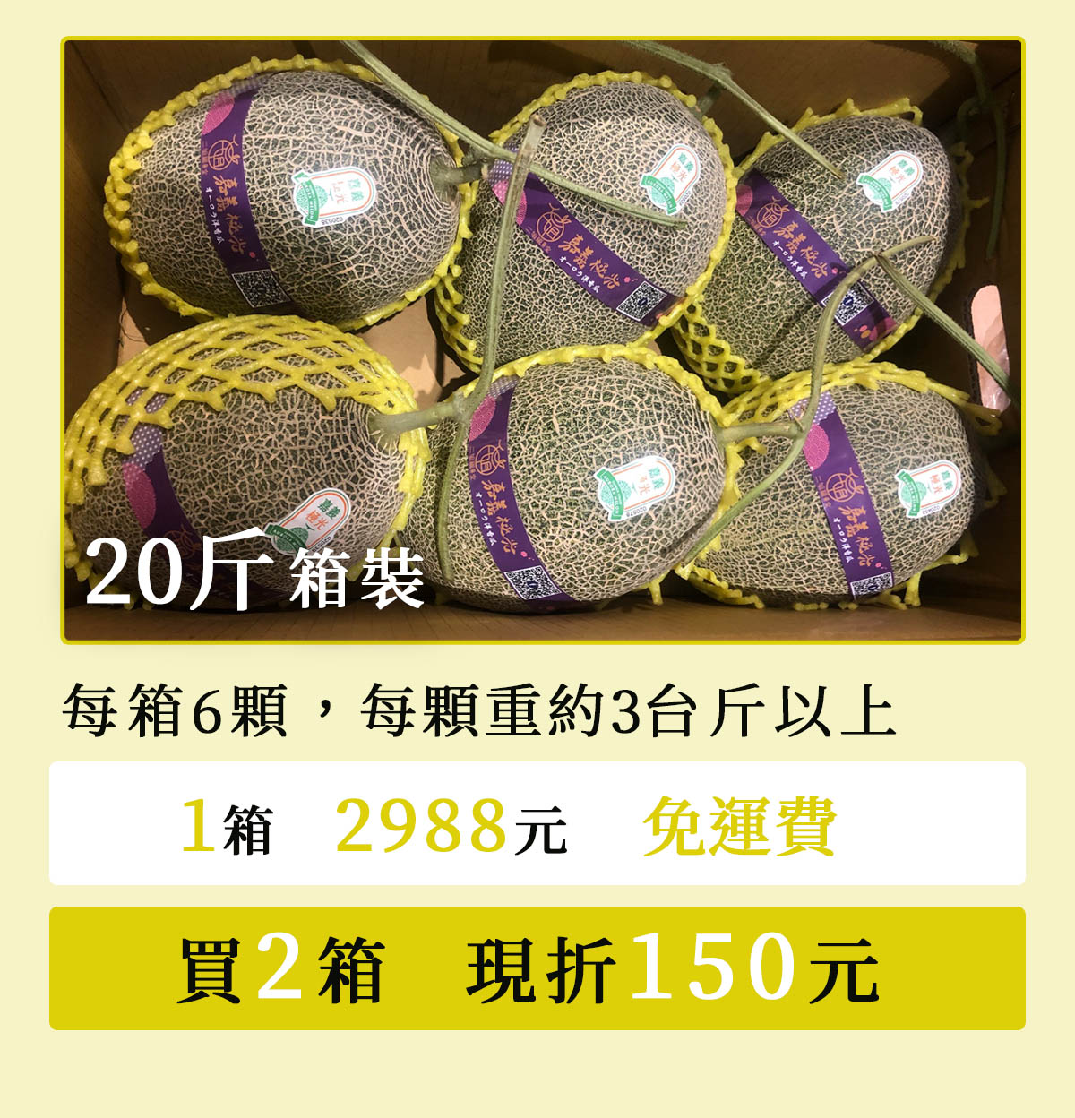 嘉義極光哈密瓜