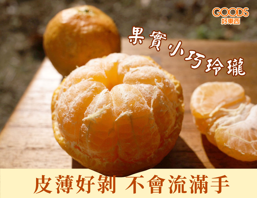 源自於大陸廣東,果實小巧玲瓏皮薄好剝