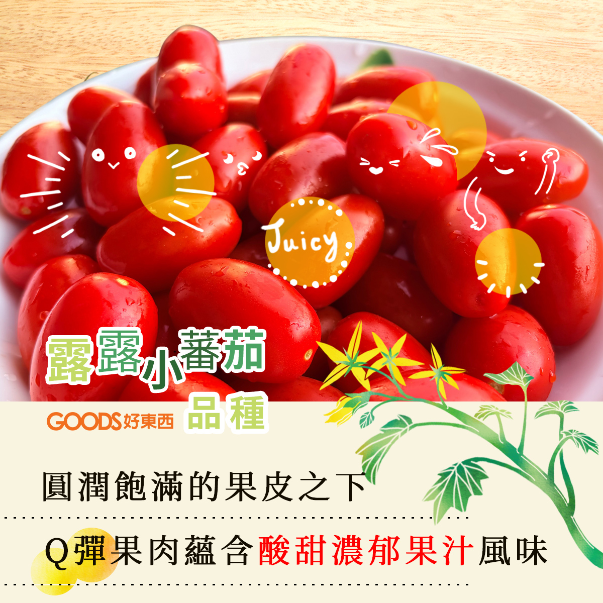 露露小番茄品種 酸甜風味濃郁