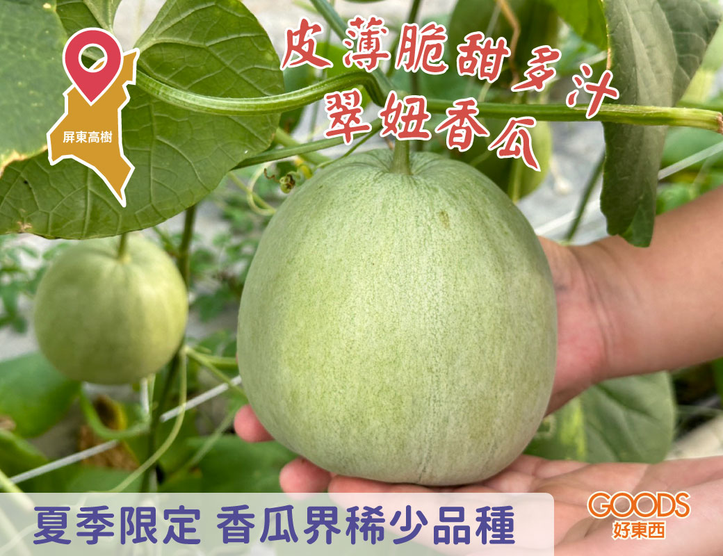 皮薄脆甜多汁 香瓜界稀少品種：翠妞香瓜