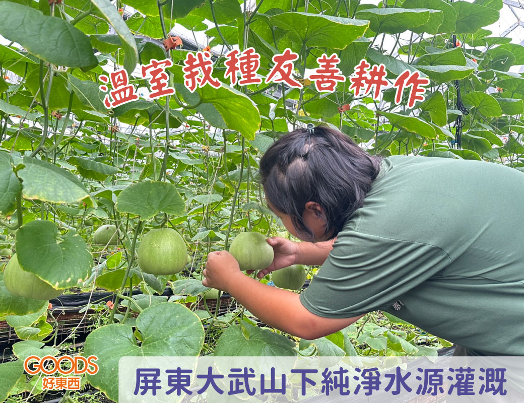 溫室栽培友善耕作 純淨水源灌溉