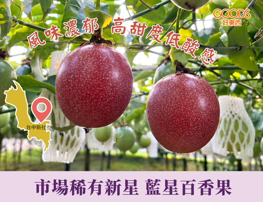 市場稀有新星 風味濃郁 台中新社藍新百香果