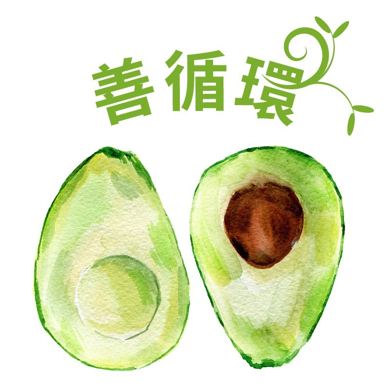 【善循環】台南大內-有機轉型期酪梨-尊重果樹生態的自然農法！