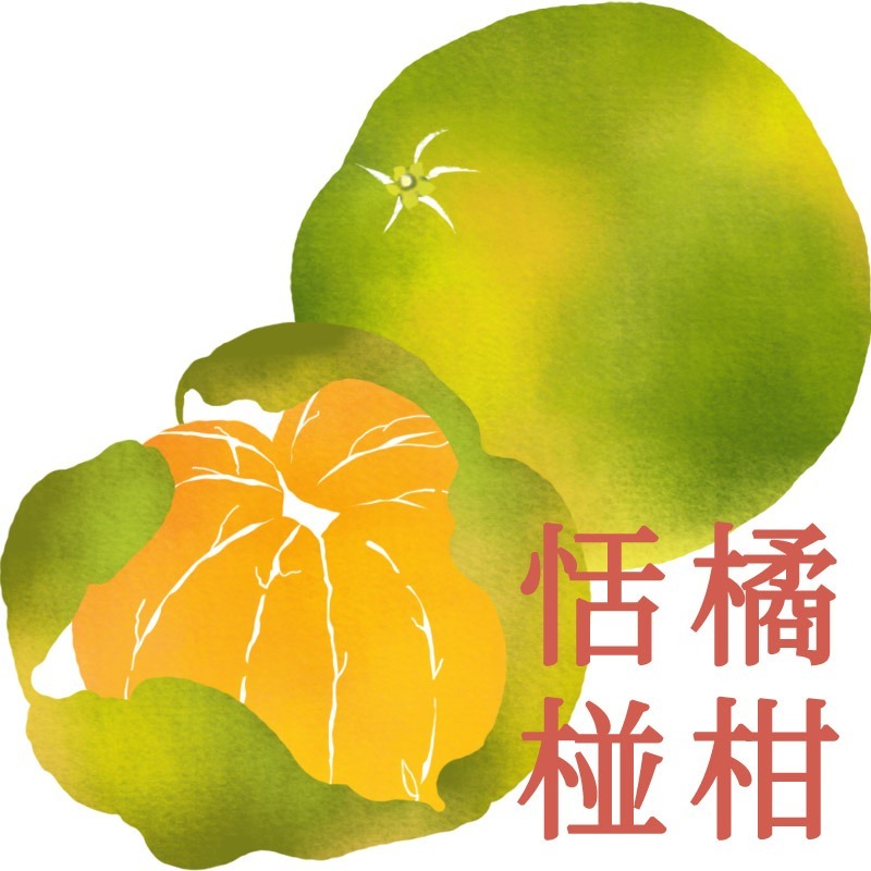 【恬橘椪柑】四十年的老欉椪柑 - 有酸有甜、津津有味的童年印象！