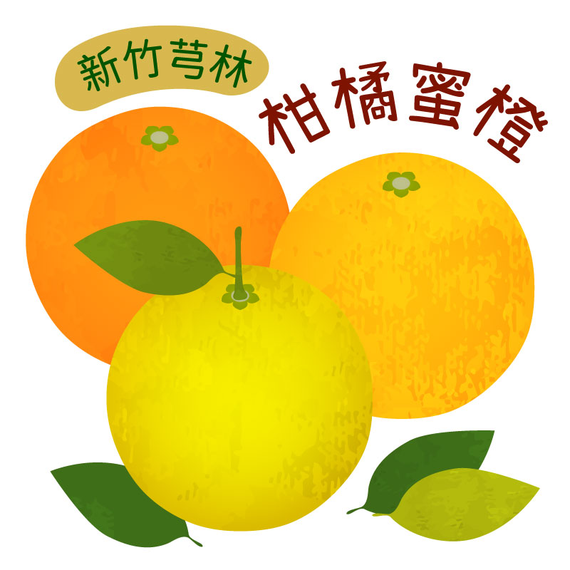新竹芎林-自然甘甜味道濃郁 產銷履歷安心自然熟黃蜜橙、紅蜜橙、帝王柑