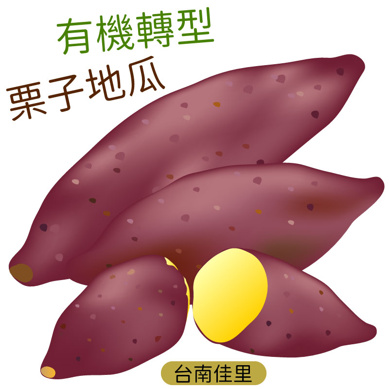 台南佳里-來自日本品種 甘甜鬆軟帶有栗子香氣 有機轉型期栗子地瓜