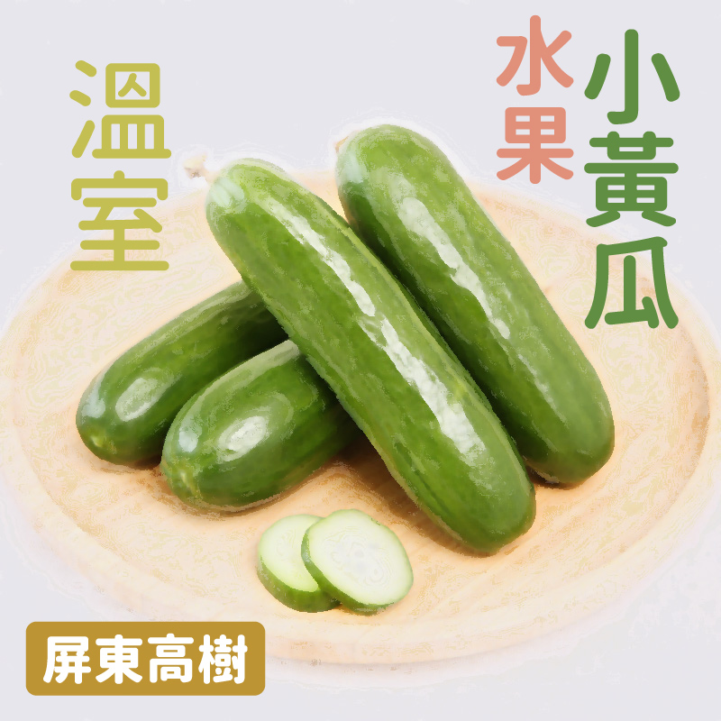 屏東高樹 - 皮薄脆嫩水份飽滿 口感清甜溫室水果小黃瓜