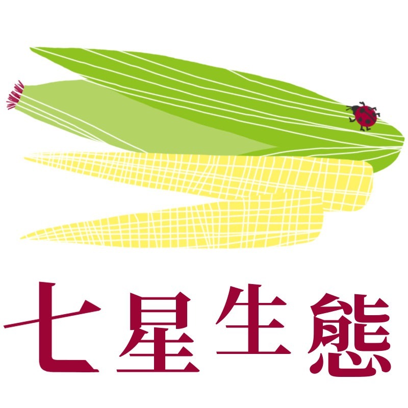 【七星生態】香、脆、甜「日本品系」紅鬚玉米筍 - 口感多層次，高營養價值與市售品種全然不一樣！