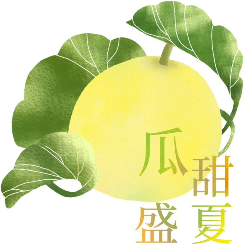 雲林斗六【瓜甜盛夏】- 溫室友善種植 - 一株留一果的美濃瓜